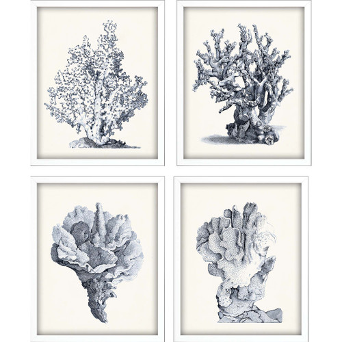 Blue Antique Coral Framed Prints - Set of Four