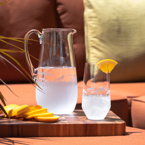 Sandpiper Frosted Glass Pitcher lifestyle 2