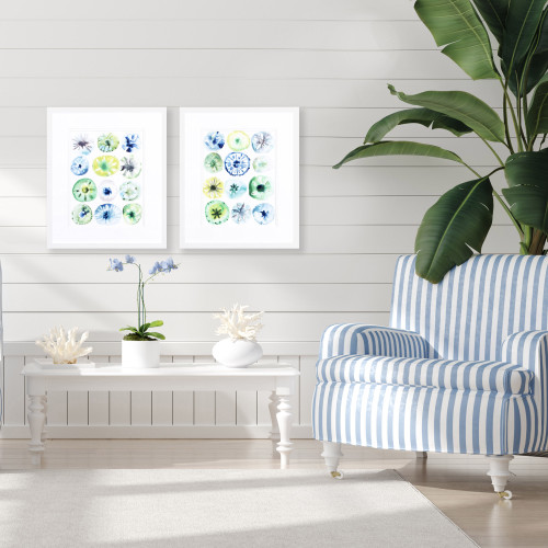 Sea Urchin Assortment - Set of Two room idea