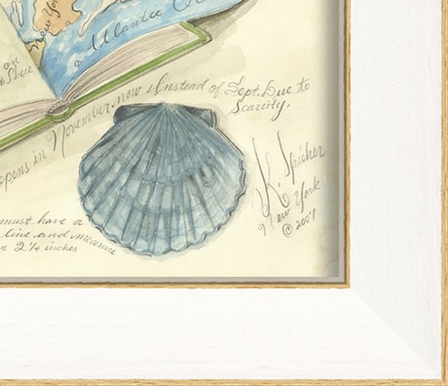 New York Long Island Scallop Shell Art from Kolene Spicher corner close up