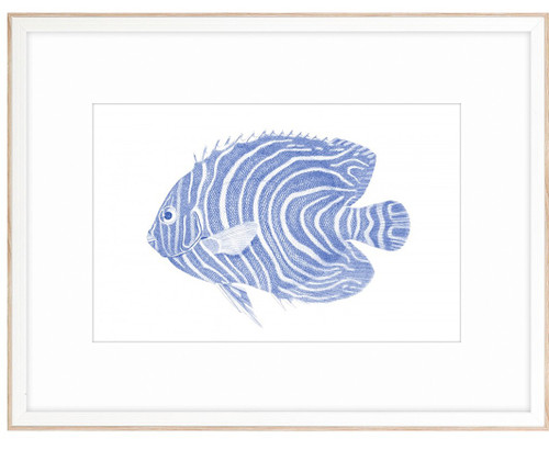 Blue Fish Galley Art Collection - Set of Four.1