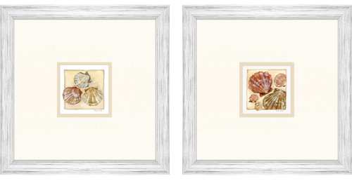 Lido Key Shells Set of Two Framed Studies