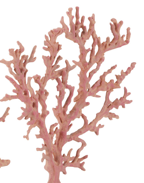 Set of Three Large Red Coral Branches Sculpted Decor.3