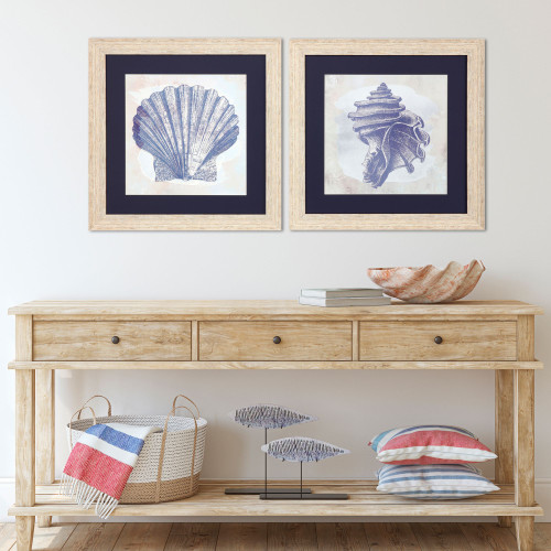 Indigo Blue Coastal Sea Shell Framed Art Prints room idea
