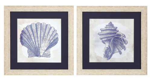 Indigo Blue Coastal Sea Shell Framed Art Prints