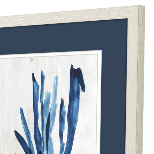 Cyprus Blue Coral Framed Prints - Set of Two corner