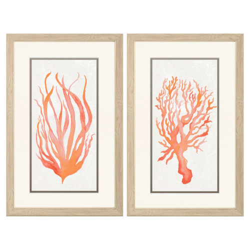 Cape Greco Apricot Coral Images - Set of Two