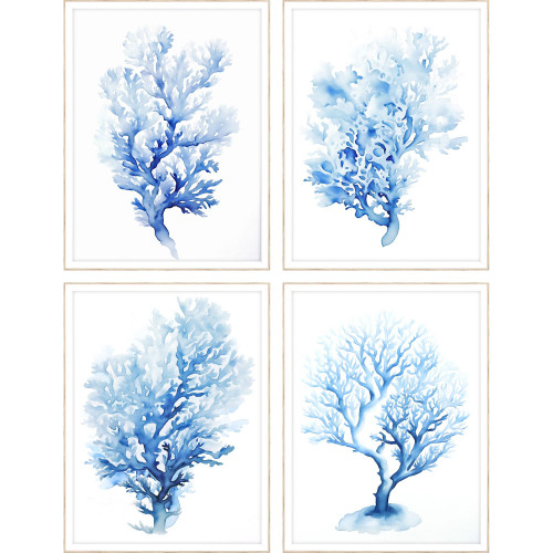 Blue Coral Prints in White Frames - Set of Four