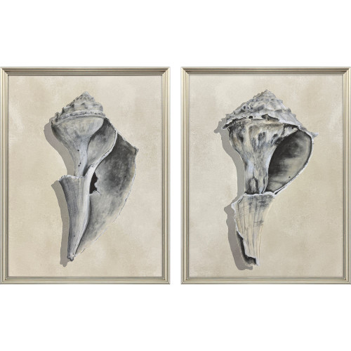 Found Broken Beach Shells I Framed Art Pair