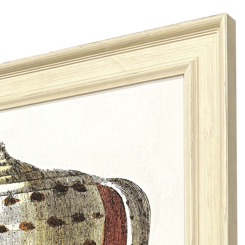 Conch Study II Wall Art frame close up