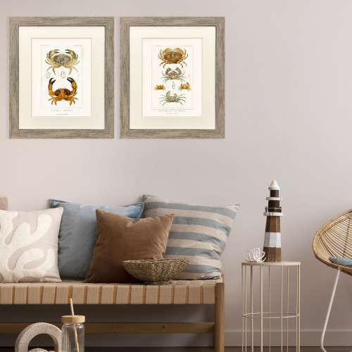 Antique Crab Studies - Framed Set of Two hallway