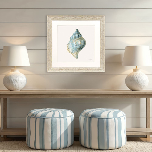 Coastal Bliss IV - Tropical Conch Shell Art room idea
