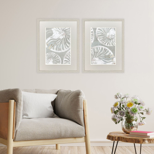 Nautilus Shell Outline Framed Set of Art