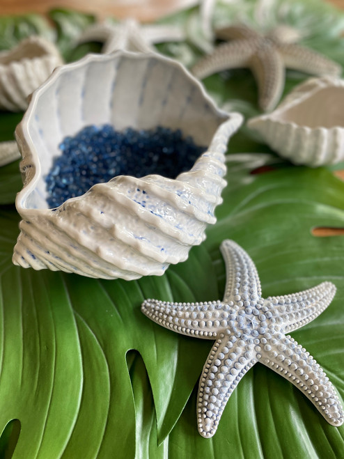 Small Blue Shell Shaped Bowl on table