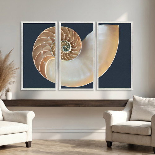 Pearlized Nautilus Shell Triptych Art - Set of Three