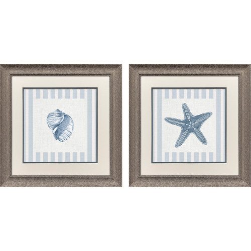 Beach Cottage Shell Finds II Art Set