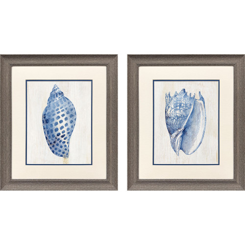 Ocean Shell Echoes I Art Set of Coastal Art Pieces