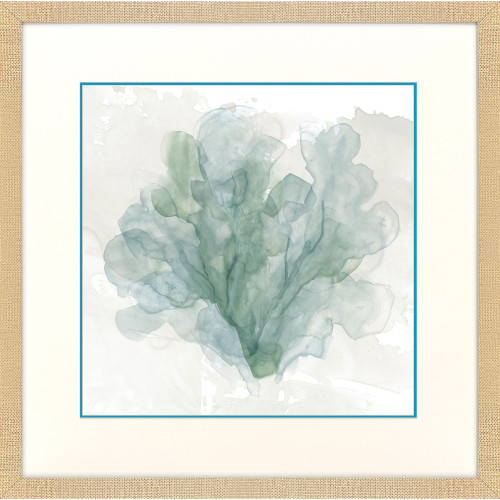 Tranquil Sea Coral II Wall Decor 
