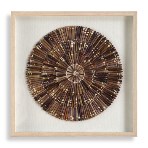 Natural Tiger Sea Urchin Spine Wall Shadowbox Sculpture Art 
