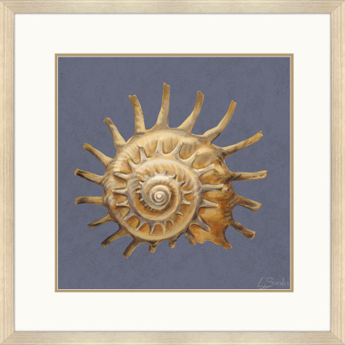Coastal Spiral Shell Delight Framed Giclee Art
