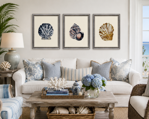 Coastal Shell Studies I Framed Art Set in room
