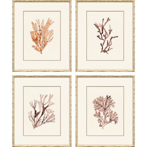 Ochre Coral Giclee Framed Art Set