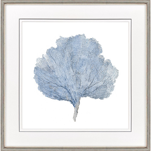 Fan Coral Indigo II