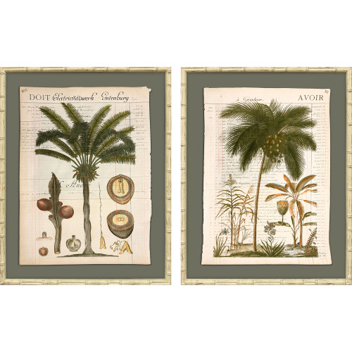Palm Study I Art Set with Bamboo Frames