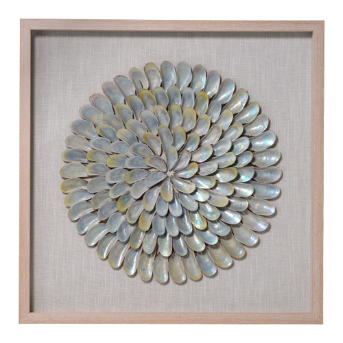 Clearwater Iridescent Mussel Shell Shadowbox Framed Art