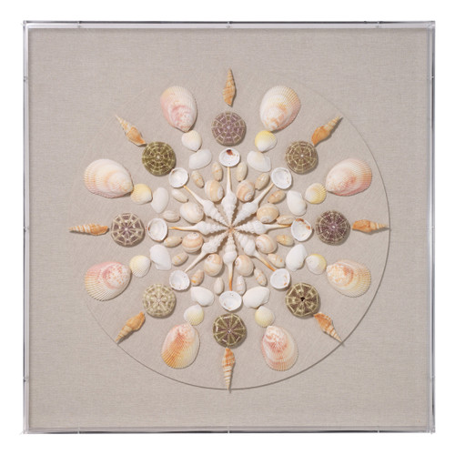 Miramar Beach Shell Shadowbox Framed Art 