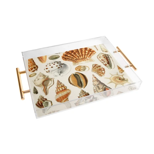 Seashells Collection Acrylic Serving Tray with Gold Handles 