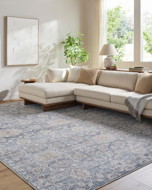 Leucadia Boho Woven Area Rug living room example