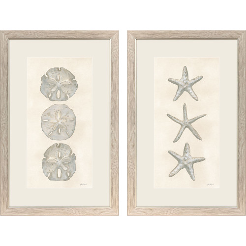 Trio of Coastal Shells - Set of Two Art Images