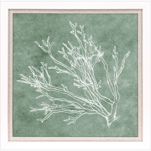 Sage Coral Branches I Art Print