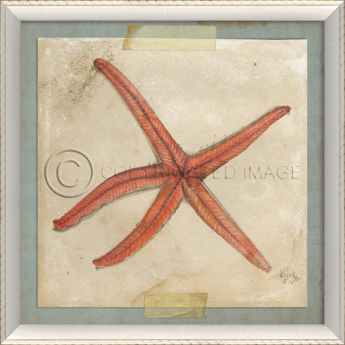 Starfish No. 5 Beach Art