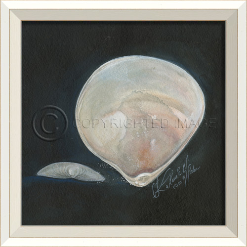 White Cottage Seashell Art No. 5