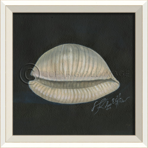 White Cottage Seashell Art No. 2