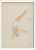 Diver In White Swimsuit Framed Wall Art