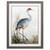 Shore Grey Heron Framed Art