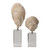 Oyster Shell-Like Sculptures Set of 2