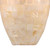 Capri 1-Light Sconce Cream Capiz Shells close up 2