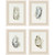 Oysters on the Bay Framed Art - Set of Four