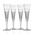 Sea Shore Frosted Flute Glasses - Set of 4 