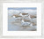 Ocean Strolling Plovers - Set of Two Framed Prints.1