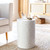 Malta Mother of Pearl Shell Cylinder Side Table room idea