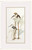 Stilt Birds Set of Two Seaside Art.2