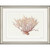 Coral Wave Framed Art Print 