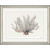 Coral Sway Framed Art Print