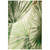 Marina Fan Palm Indoor-Outdoor Area Rug