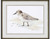 Beach Sandpipers with Black Frames - Set of Two.2